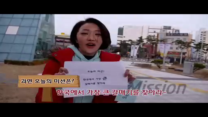 스마트 보령뉴스(3.22.)- 한국에서 제일 큰 갈매기