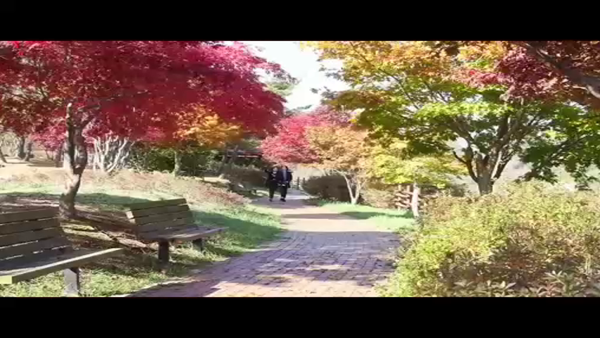 가을 감성 물씬,보령댐 물빛공원