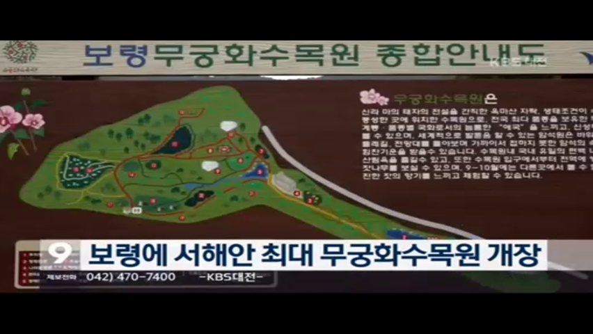 [1012 KBS 9시뉴스] 보령시, 서해안 최대 규모 무궁화 수목원 개원
