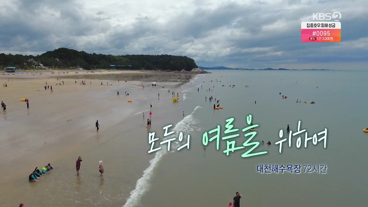 [0816 KBS 다큐3일] 보령 대천해수욕장 72시간