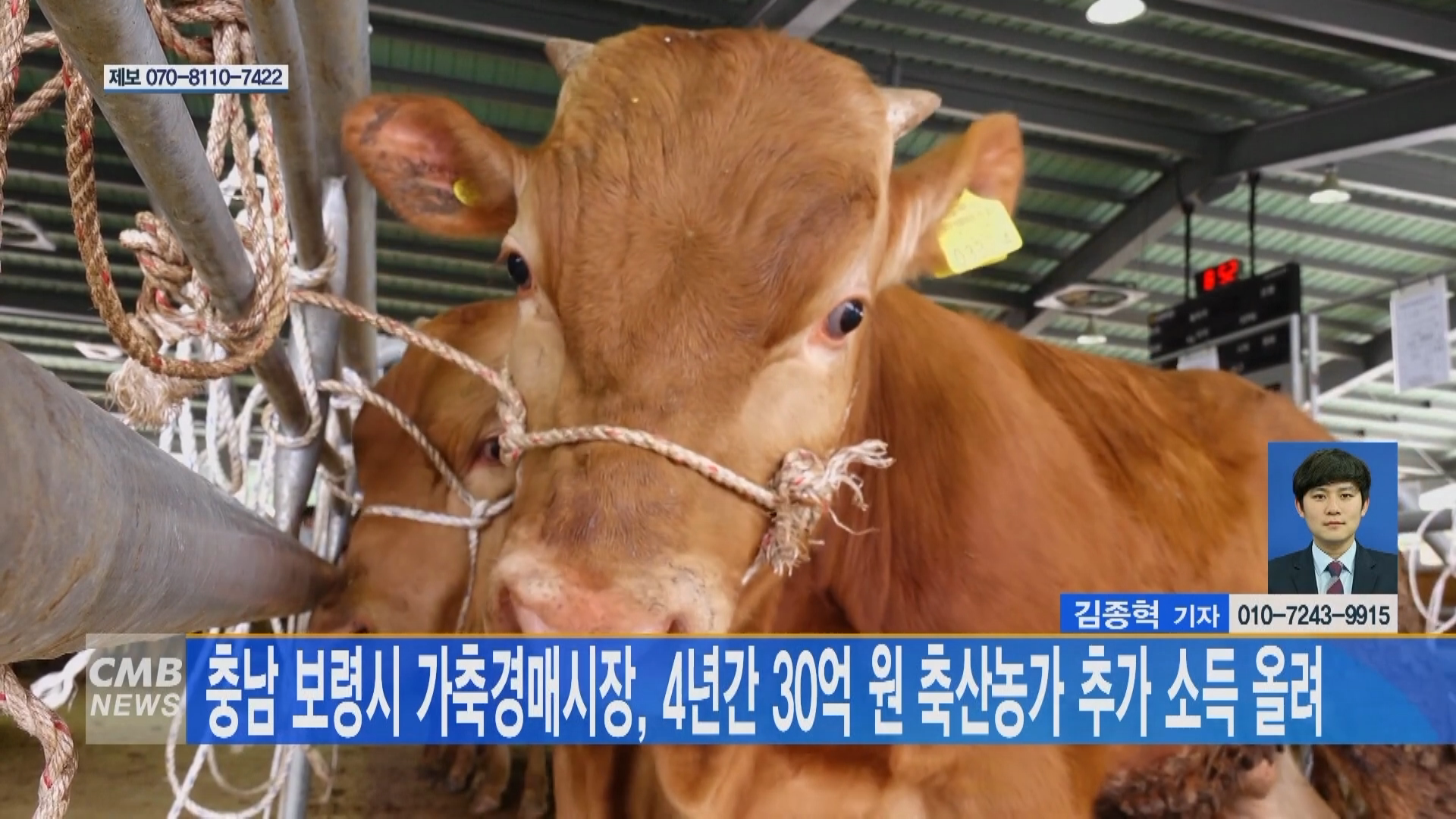 [0120 CMB 뉴스]가축경매시장 지난 4년간 30억 원의 소득