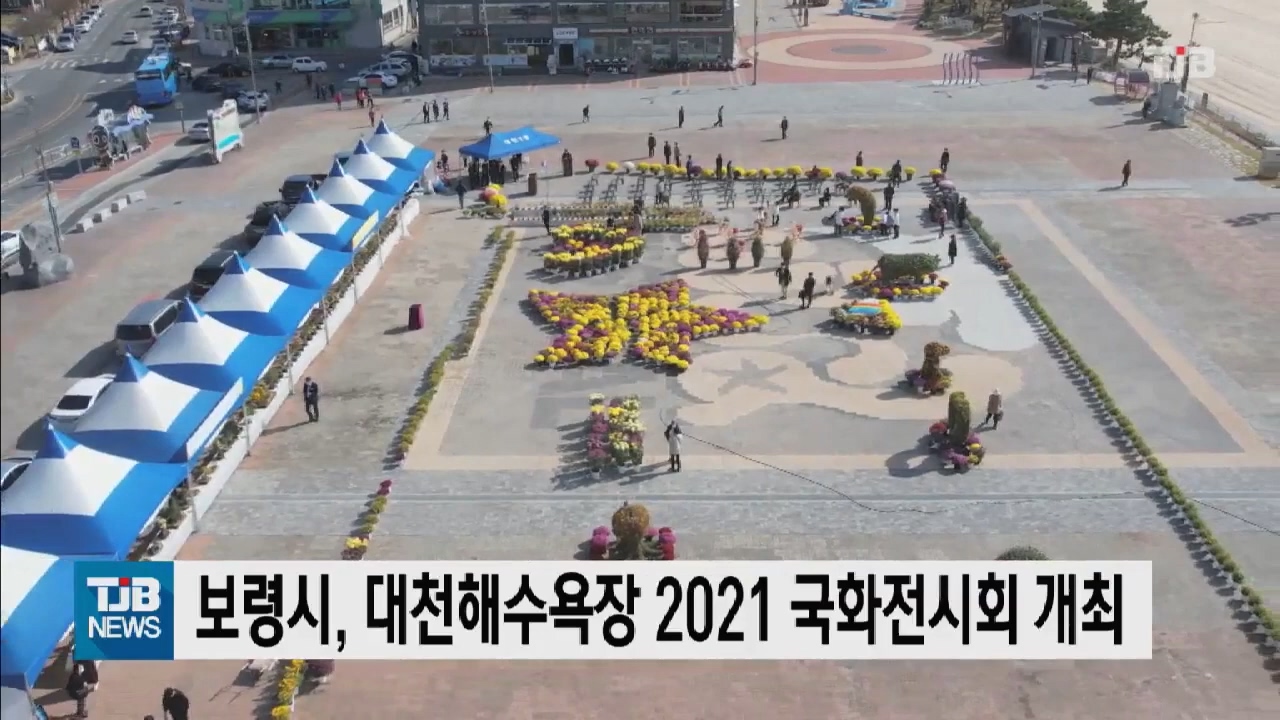[1101 TJB 10시뉴스]보령시 대천해수욕장서 2021 국화전시회  개최