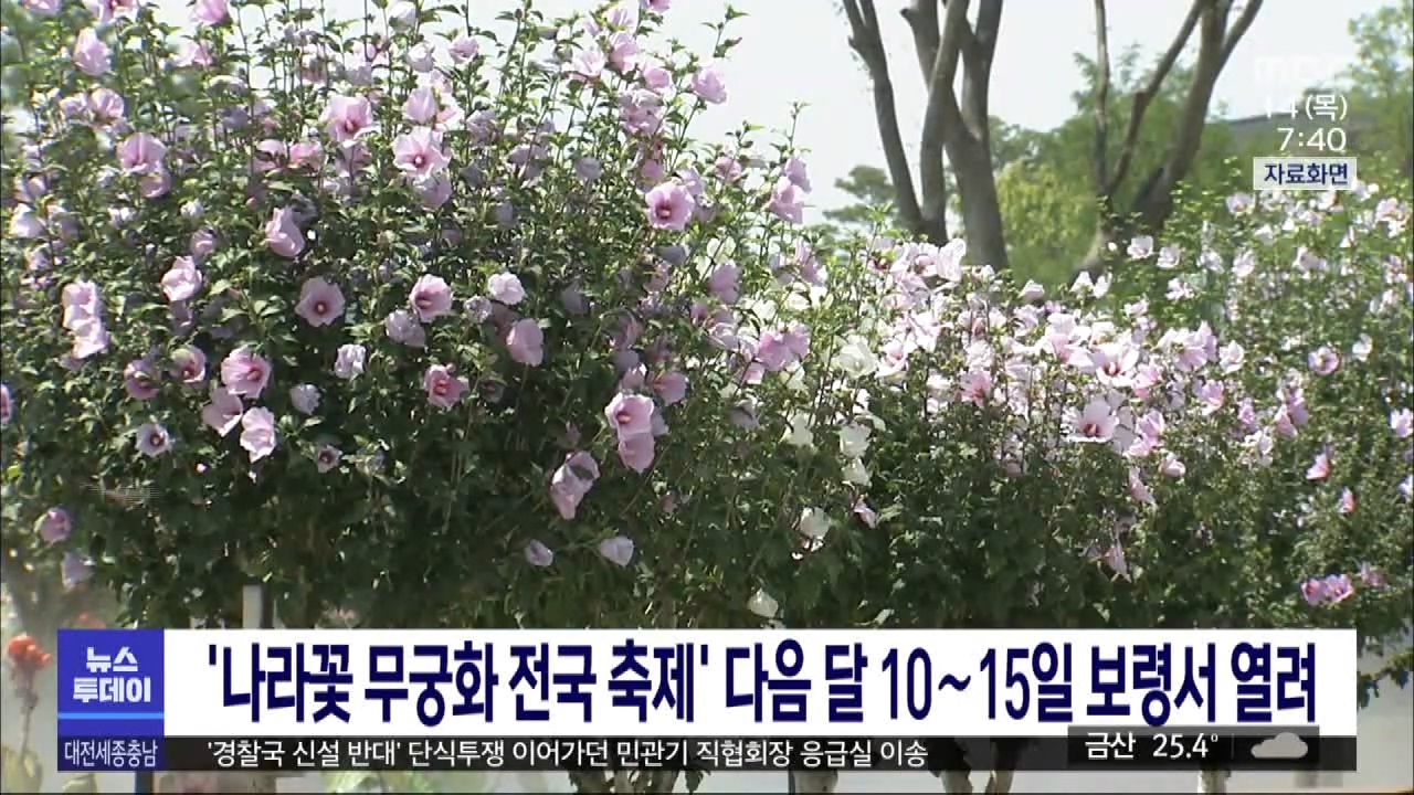 [0714 MBC 7시 뉴스투데이]나라꽃 무궁화 전국 축제 내달 10~15일 보령서 열려