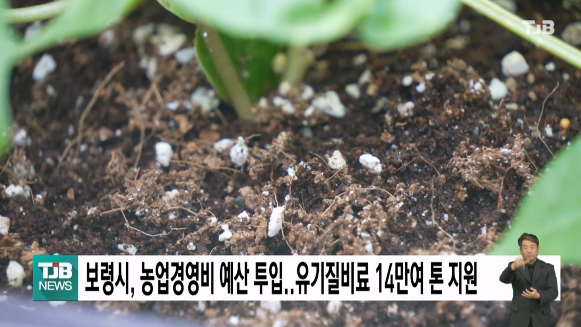 [0211 TJB 5시 40분 뉴스]보령시, 농업경영비 예산 투입 유기질비료 14만여톤 지원