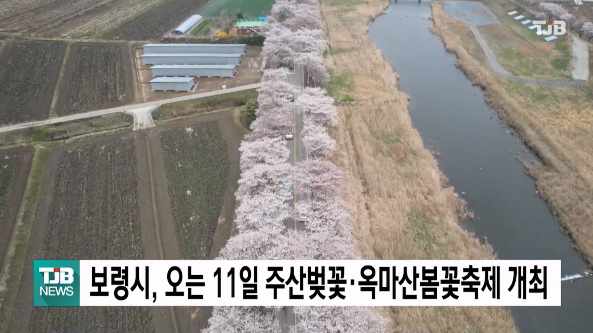 [0407 TJB 5시 40분 뉴스]주산벚꽃축제·옥마산봄꽃축제 4월 11일 개최
